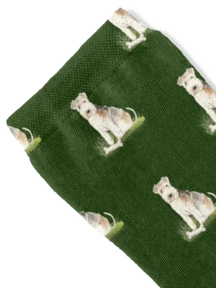 Cute Lakeland Terrier Socks gifts luxury Socks For Women Men's