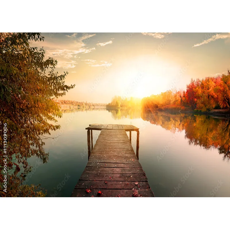 المناظر الطبيعية التصوير خلفية سقوط يترك الغابات المشهد السفر صور الخلفيات استوديو الدعائم 211224 QQTT-02