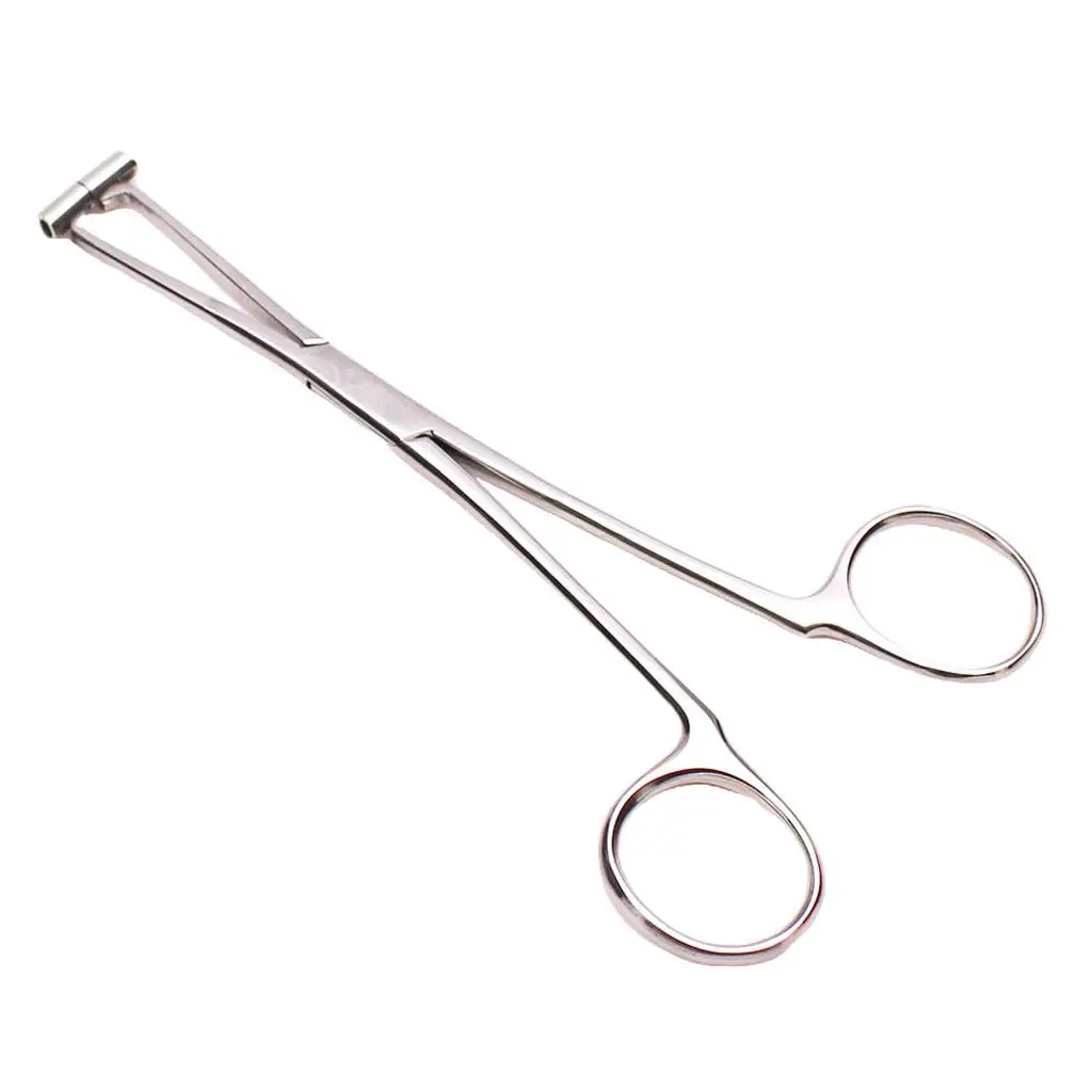 6inch Professional Stainless Steel Septum Forceps Body Piercing Clamp