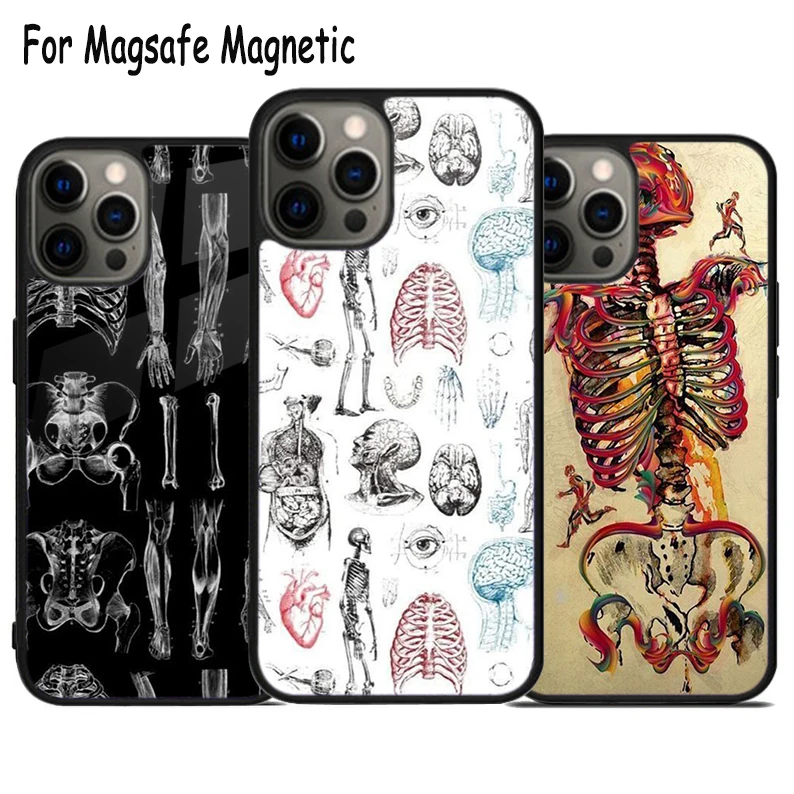 

Medical Human Anatomy Wireless Charge Magsafe Phone Case For iPhone 15 16 14 13 11 12 Pro Max Plus Magnetic Bumper Cover