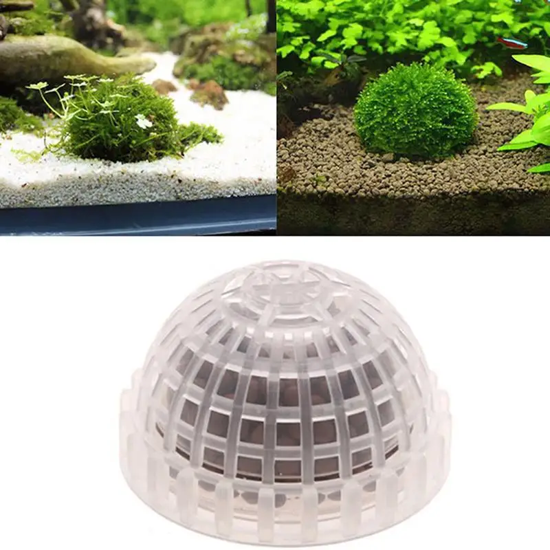 Suministros acuáticos para mascotas, decoraciones para acuario, bola de musgo, filtro de plantas vivas para camarones Java, pecera, decoración de tanques de peces para mascotas, 1 ud.