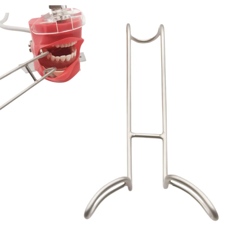 

1pc Dental Double-Headed Retractor Stainless Steel Implant Dental Mouthpiece Teeth Opening and Teeth Whitening Oral Care Tool