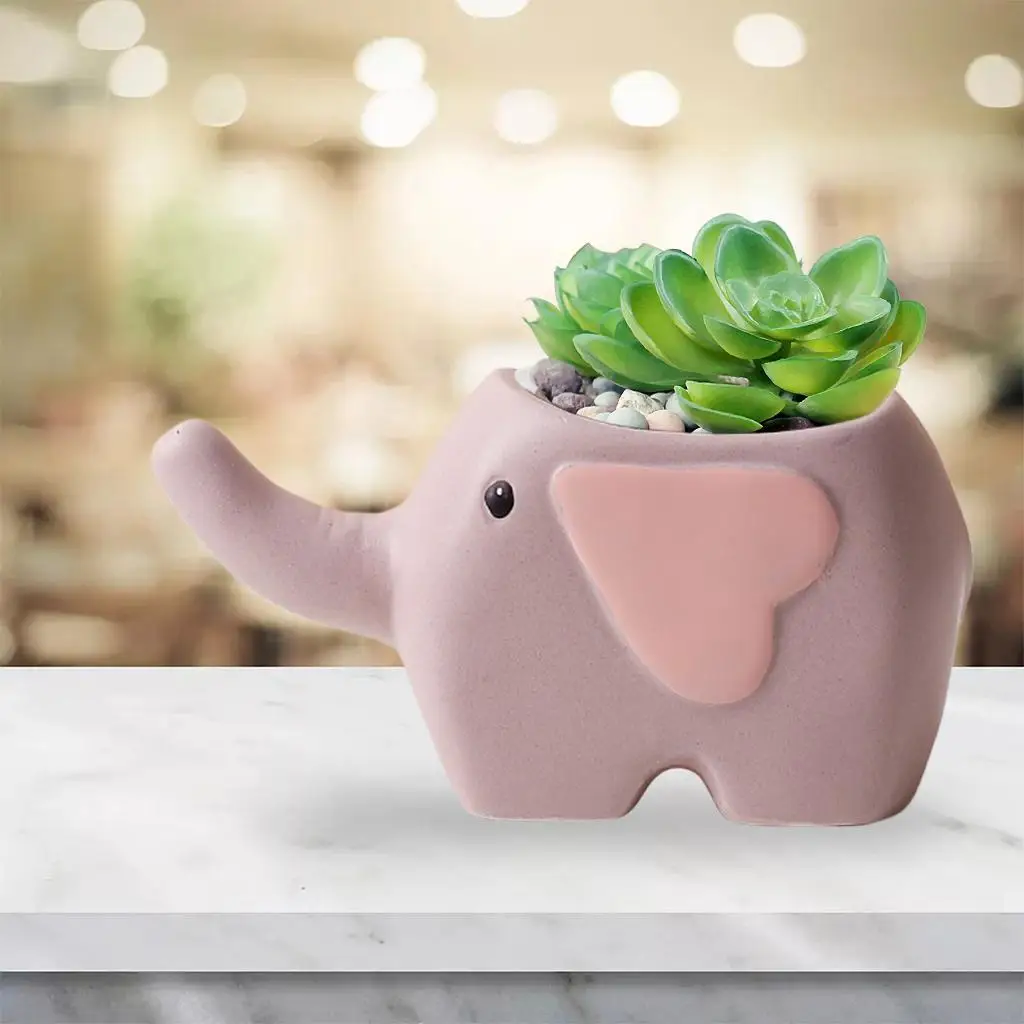 Cartoon Succulent Pot Herbs Decoration Cactus for Indoor Office