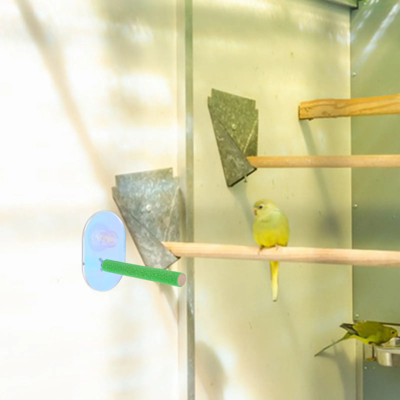 

Sturdy Natural Wood Perch For Parrots Parakeets Strong Suction Cup Portable Shower Window Stand Platform Durable Comfortable