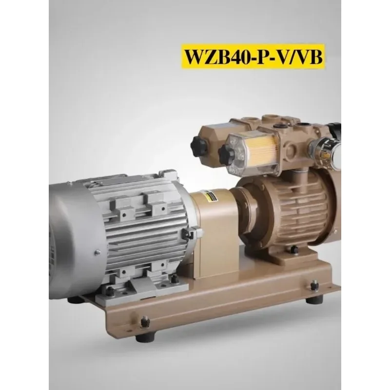 Replacing vacuum pump KRX6-P-V/VB-03 folding machine air pump 40 cubic oil-free dry air pump