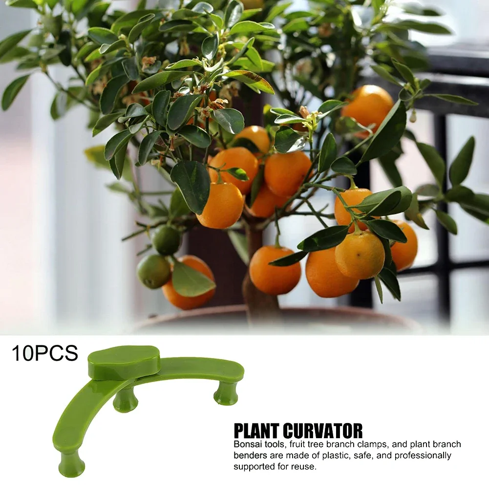 

Plant Bender Plant Training Clips Vine Plants Flowers Bonsai Tool Fruit Tree Shaper Green Plant Training Clips