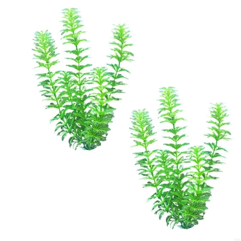 92MF Аквариумы.