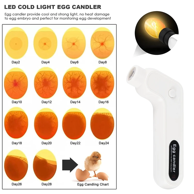 Lampu tempat lilin telur, inkubator lampu keren nirkabel isi ulang dengan dua kepala lembut cocok untuk semua jenis telur
