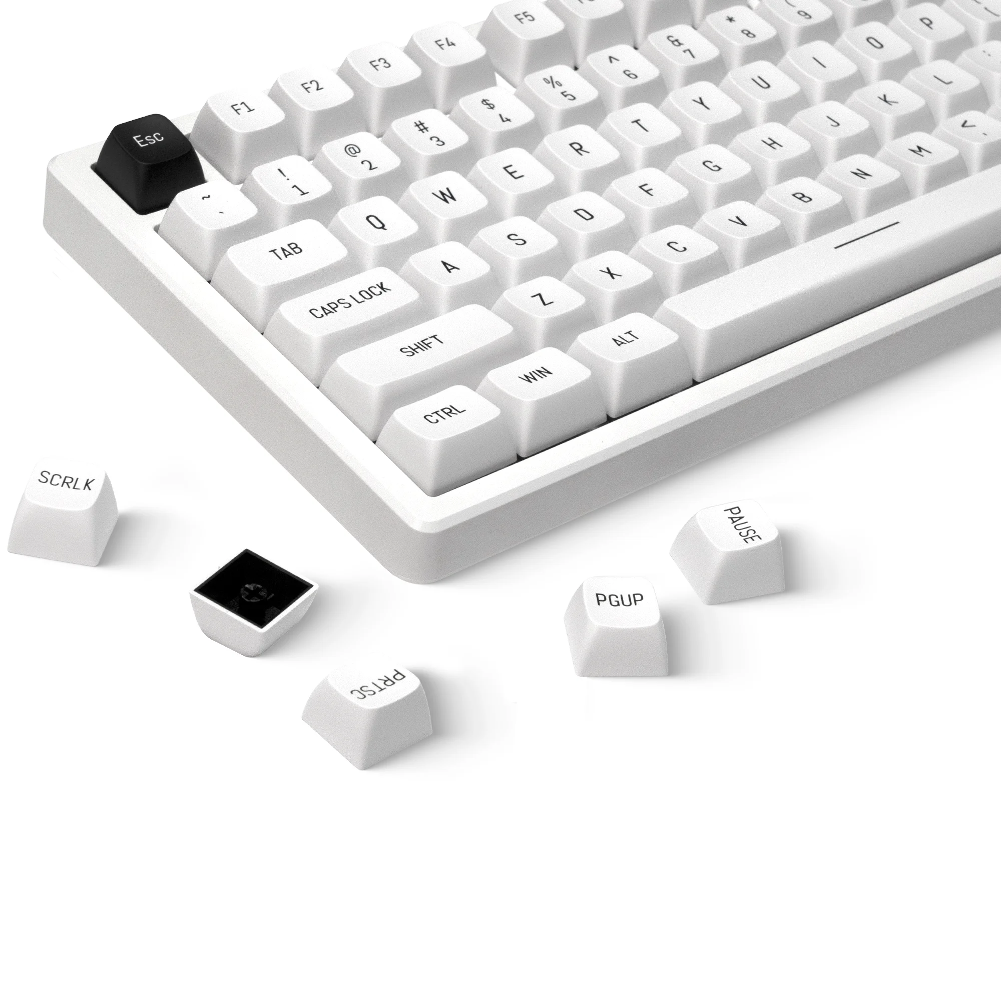 

XVX Double Shot White Keycaps XVX Profile 137 Keys Not Shine Through Keycaps for Mechanical Keyboard