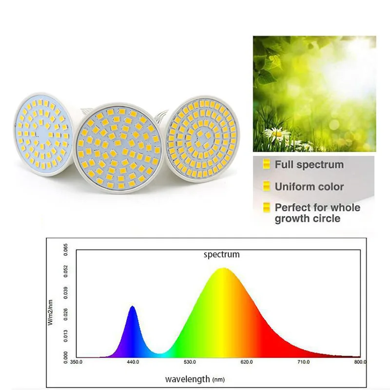 Luz LED de espectro completo para cultivo de plantas de interior, lámpara phyto, soporte para Fitolamp growbox, tienda de campaña, invernadero t1,