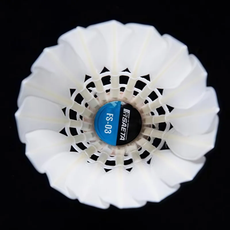 6pcs Professional Class A+ Super Durable Sports Shuttlecock International Tournaments Goose Feather Ball Water Duck Feather