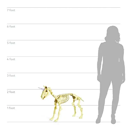 Unicorn and Dragon Skeleton Set, 2 Pieces, 1 Dragon, 49 Inches Tall, 1 Unicorn, 43 Inches Tall, Great for Halloween Porch, Yard