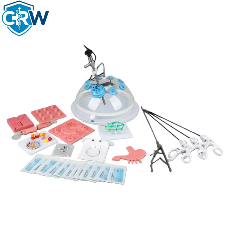 CRW Bestselling Transparent Professional Hemispherical Trainer Box Simulator Box