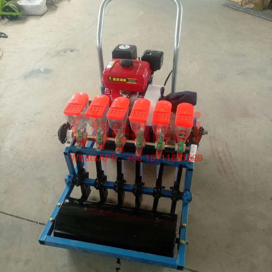 Vegetable Planter Factory Price Vegetable Seedling Planter Onion Seeder For Sale