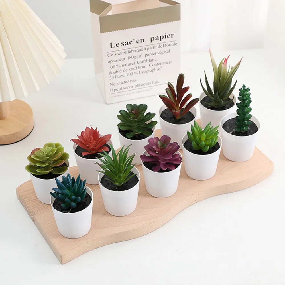 Cactus suculento Artificial bonsái suculento plantas falsas plantas bonsái suculentas de plástico decoración de escritorio planta suculenta falsa