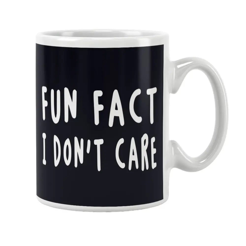 Fun Fact I Don't Care Sarcastic Mug Funny White Ceramic Coffee Tea Cup Unique Friend Special Gifts Wife Husband Women Men