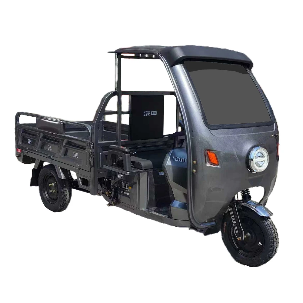 

3 Wheel Motorcycle for Battery Electric Tricycles for Adults Mini Open Electric Tricycle