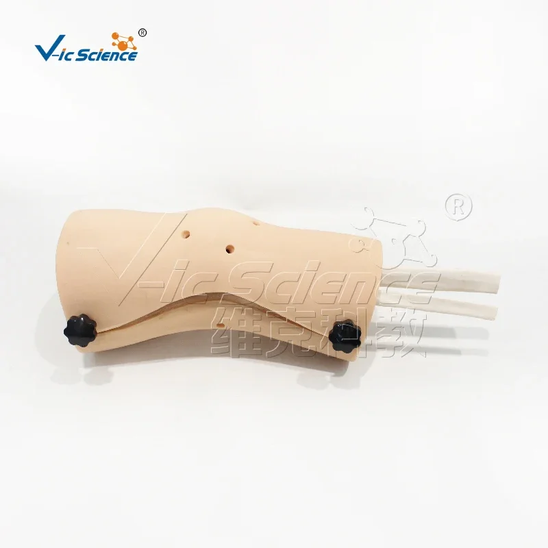 Knee Arthroscopy Model for Nurse and Medical School Training PVC Anatomical Joint Skeleton Model