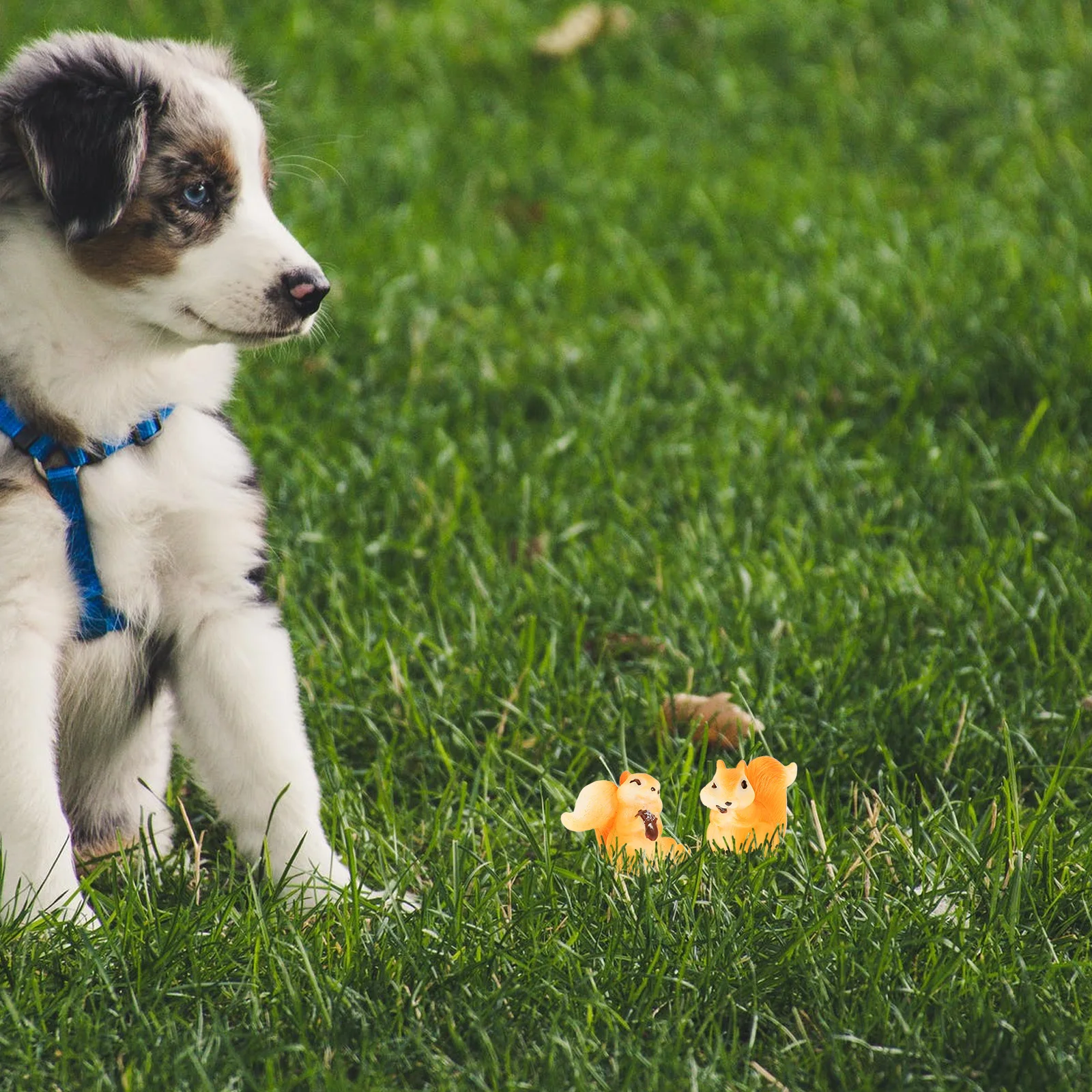 

10Pcs Mini Squirrel Resin Ornaments Miniature Garden Decor Compact Durable Micro Landscape Ornament Fairy Garden Adornment