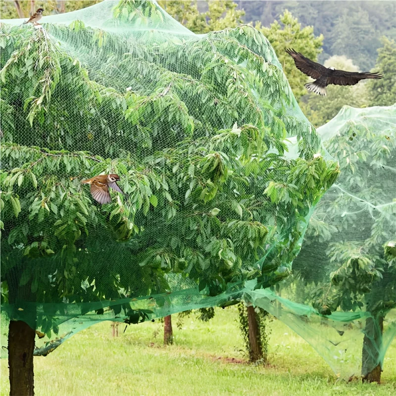 Rete in rete di plastica per protezione da giardino per verdure e alberi da frutto - Barriera per uccelli e animali, adatta a tutte le piante e colture