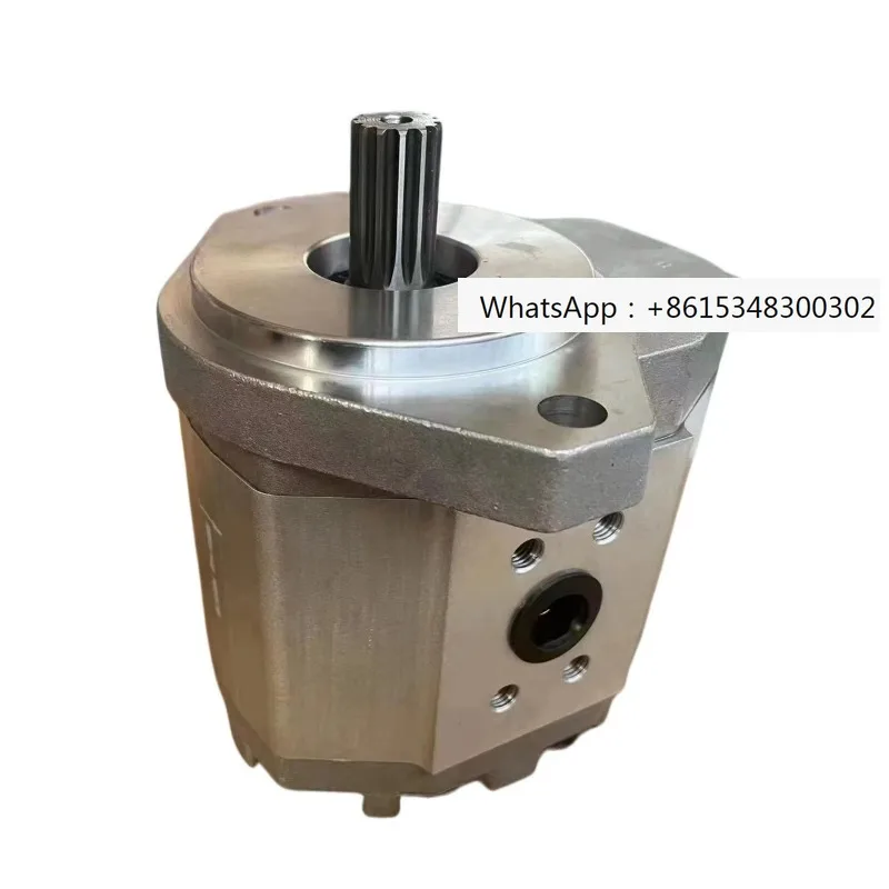 Single and double gear pump 1142001002 OD04641 rotary hydraulic oil pump for skid steer loader