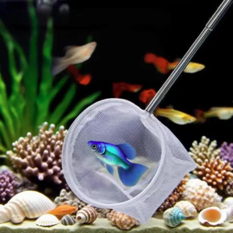 Neues Edelstahl-Feinmaschiges Fischernetz, Einziehbar und Langlebig für Aquarium, Fischbecken, Kleinfischfang-Zubehör – Detail 3