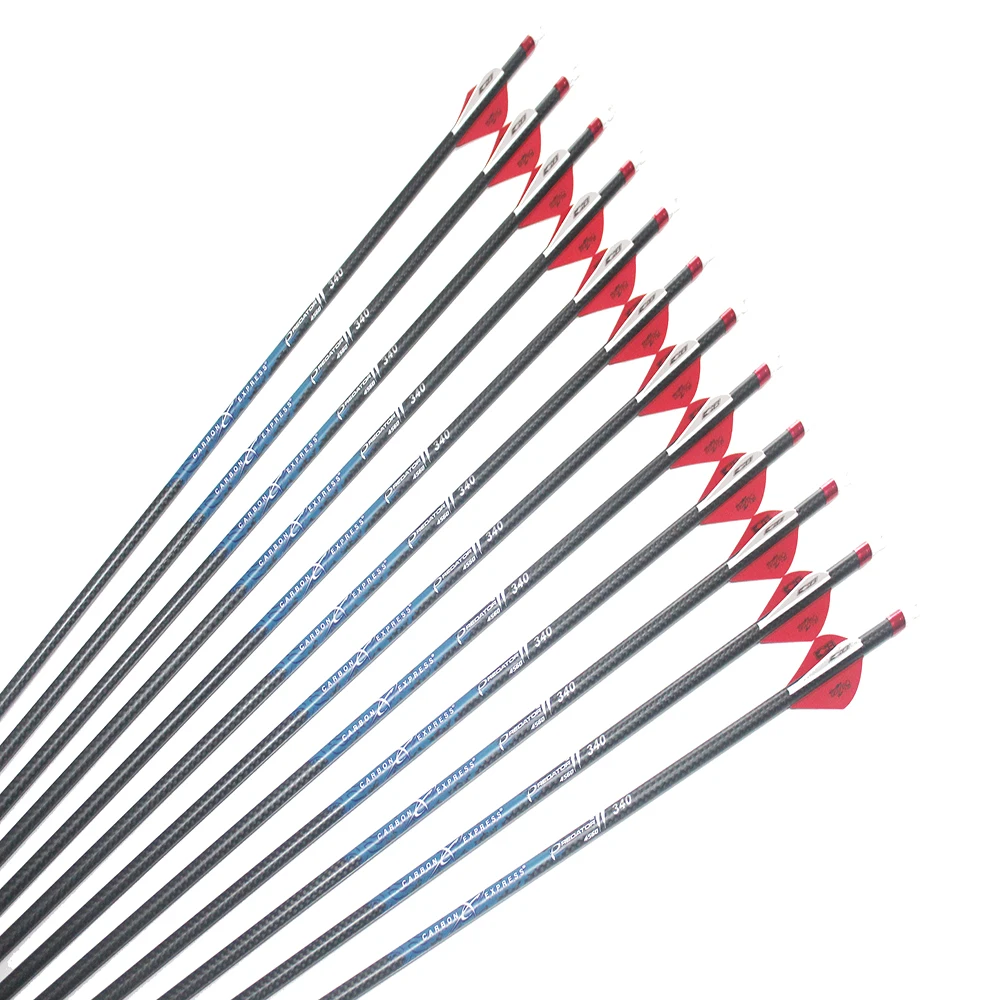 

12Pcs 32" Archery Carbon Arrows ID6.2mm Spine340 400 500 2Inch Arrow Vane 100gr Arrowhead 3K Weave Compound Bow Hunting