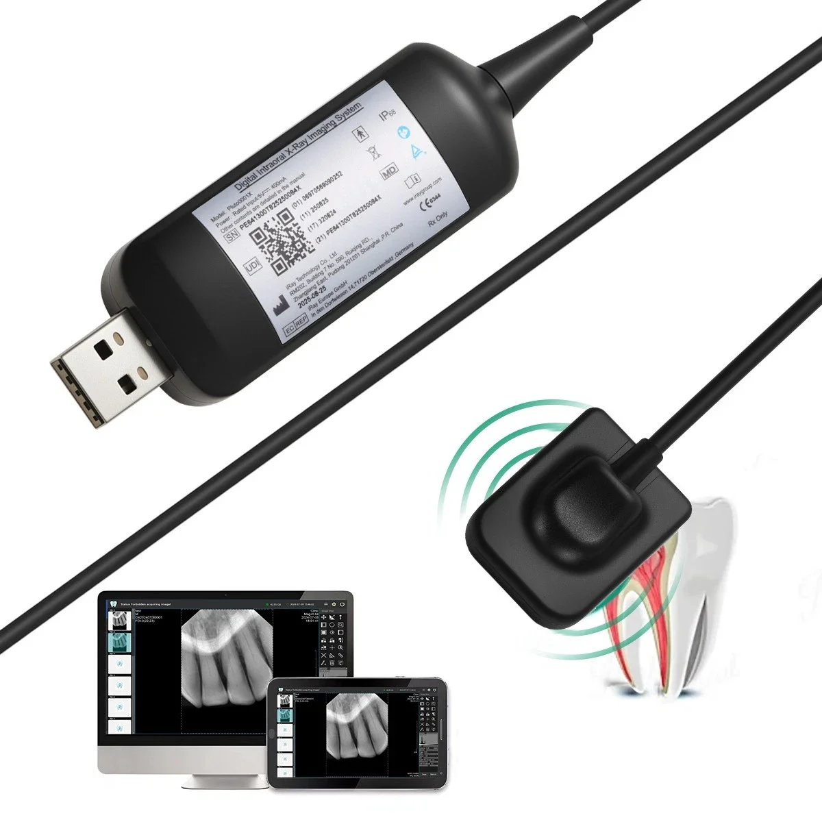 Dental X ray Sensor Digital Sensor Rayos Digital Imaging System X-ray Sensor With Holder For Woodpecker