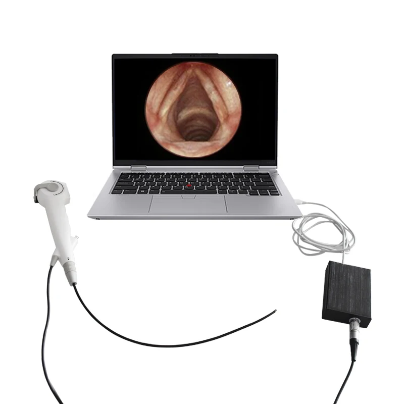

Flexible Metal Electronic for Nasopharyngeal Medical Imaging Rhinolarygoscopy Ear Nose Throat Hospital Surgery