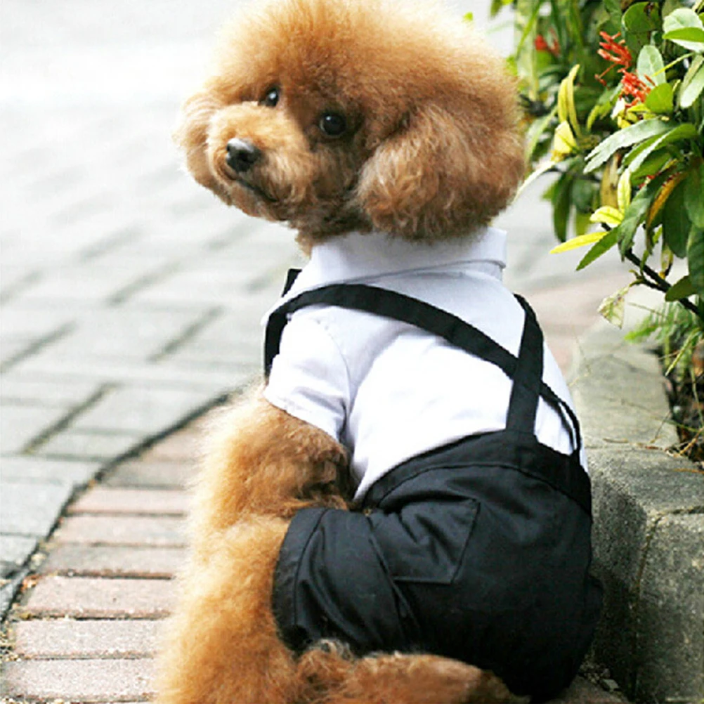 

Premium Cotton Pet Suit Formal Wear Dog Outfit Bow Tie Costume Special Occasion Wedding Party Attractive Charming Chic Garment