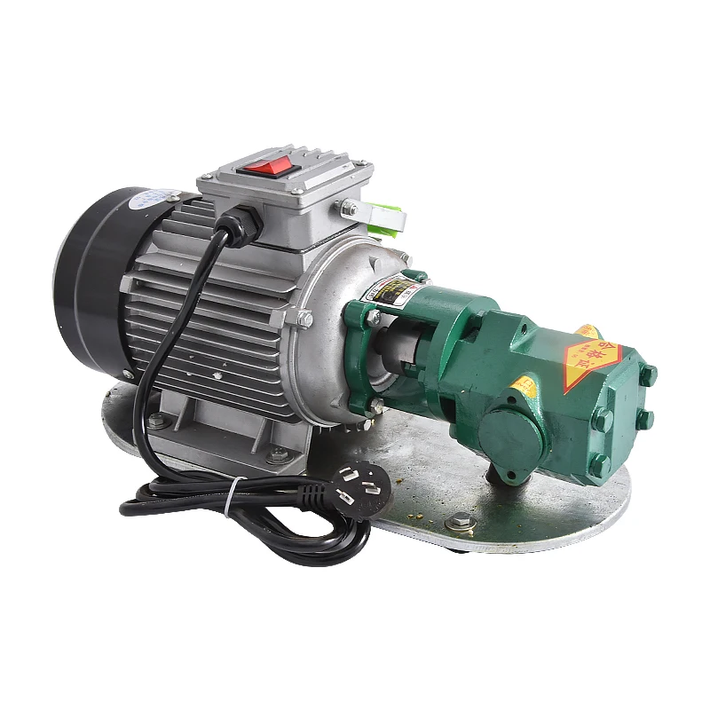 Portable Cast Iron High Temperature Electric Gear Pump WCB-75 Self-Priming Gear Oil Pump 750W Small High Viscosity Oil Pump 220V