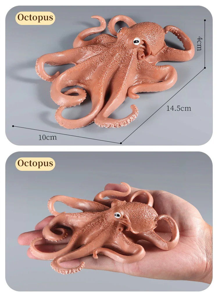 Pädagogische Marine Molluscs ModelToys – Simulation Tintenfisch Oktopus Wachstumszyklus Actionfigur für Kinder Sealife Animal Collection – Detail 4