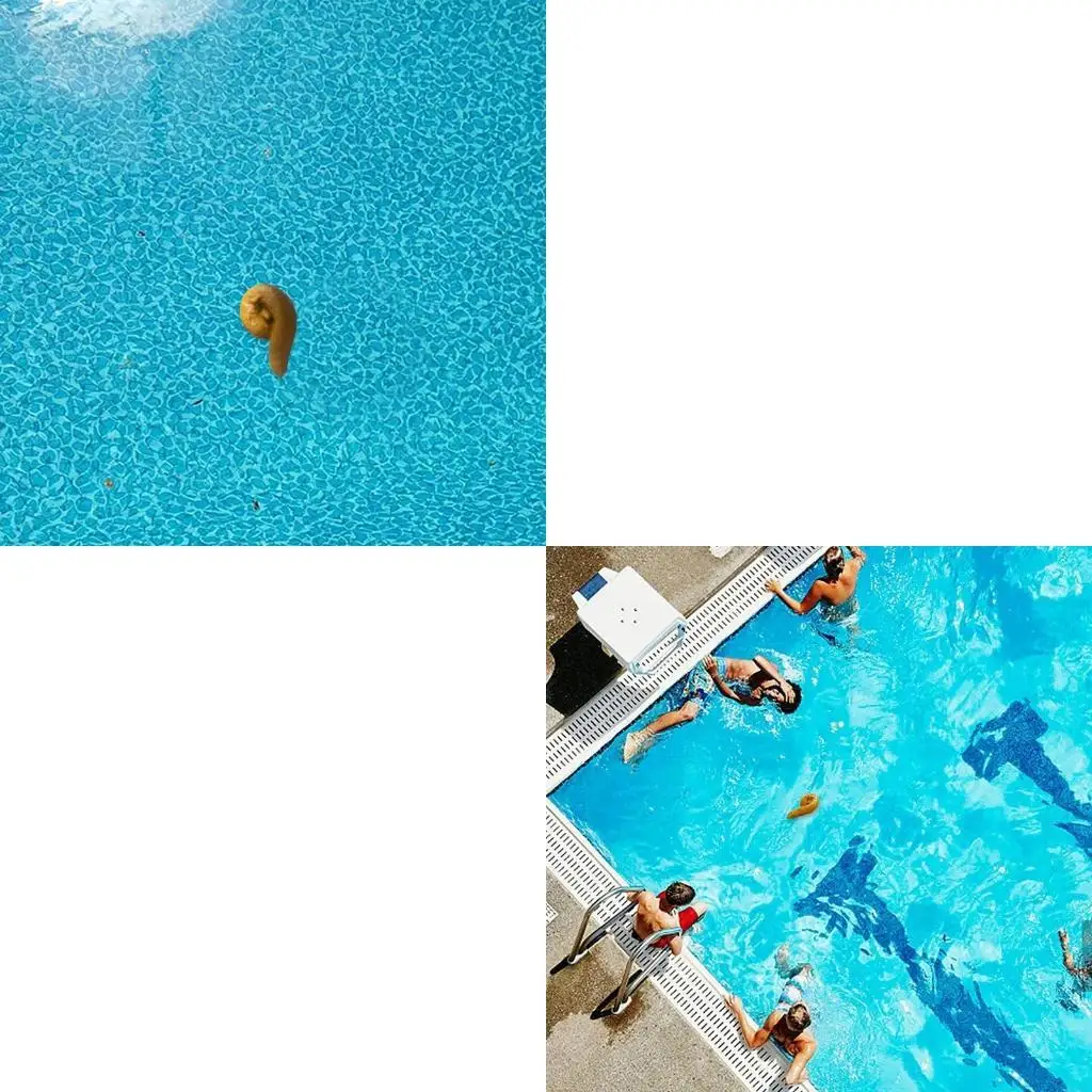 

Funny Summer Pool Thermometer High Accuracy Anti Corrosion Floating Poop Prank Thermometer for Swimming Pool Hot Tub