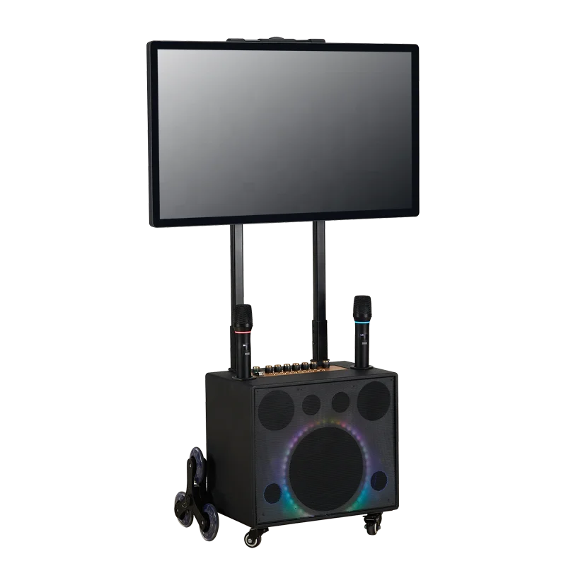 PartyCube Karaoke Machine Wireless BT Home Studio Singing System Portable Hifi Loudspeakers with UHF Mic