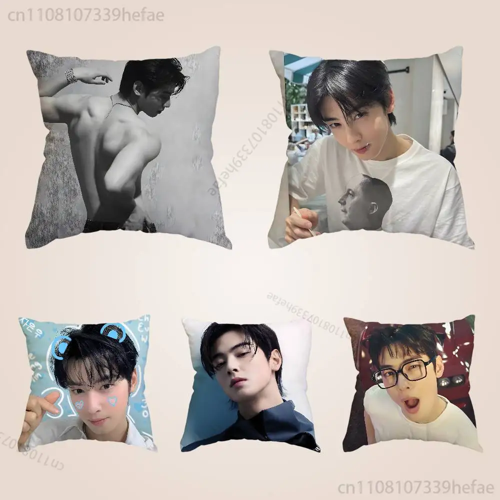 

Singer Cha E-Eunwoo Print Polyester Pillow Case for Valentine gift Home Sofa Cushion Cover Decoration Custom