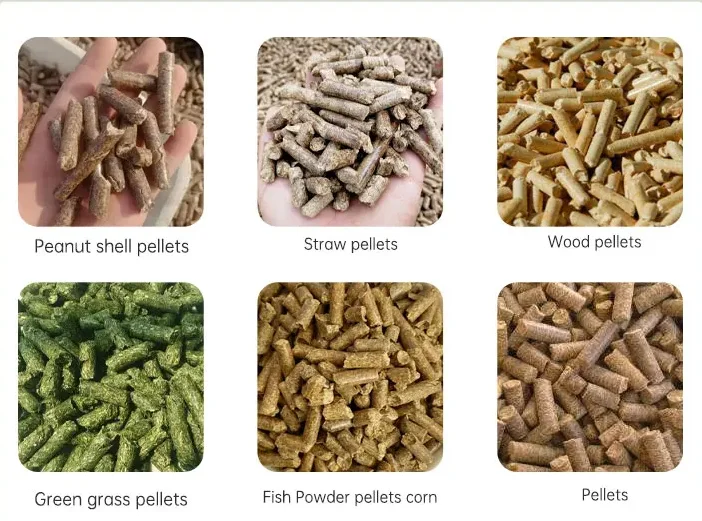 Poultry Feed Pellet Mill Making Machine Pellets Making Machine Animal Feed Processing Machine