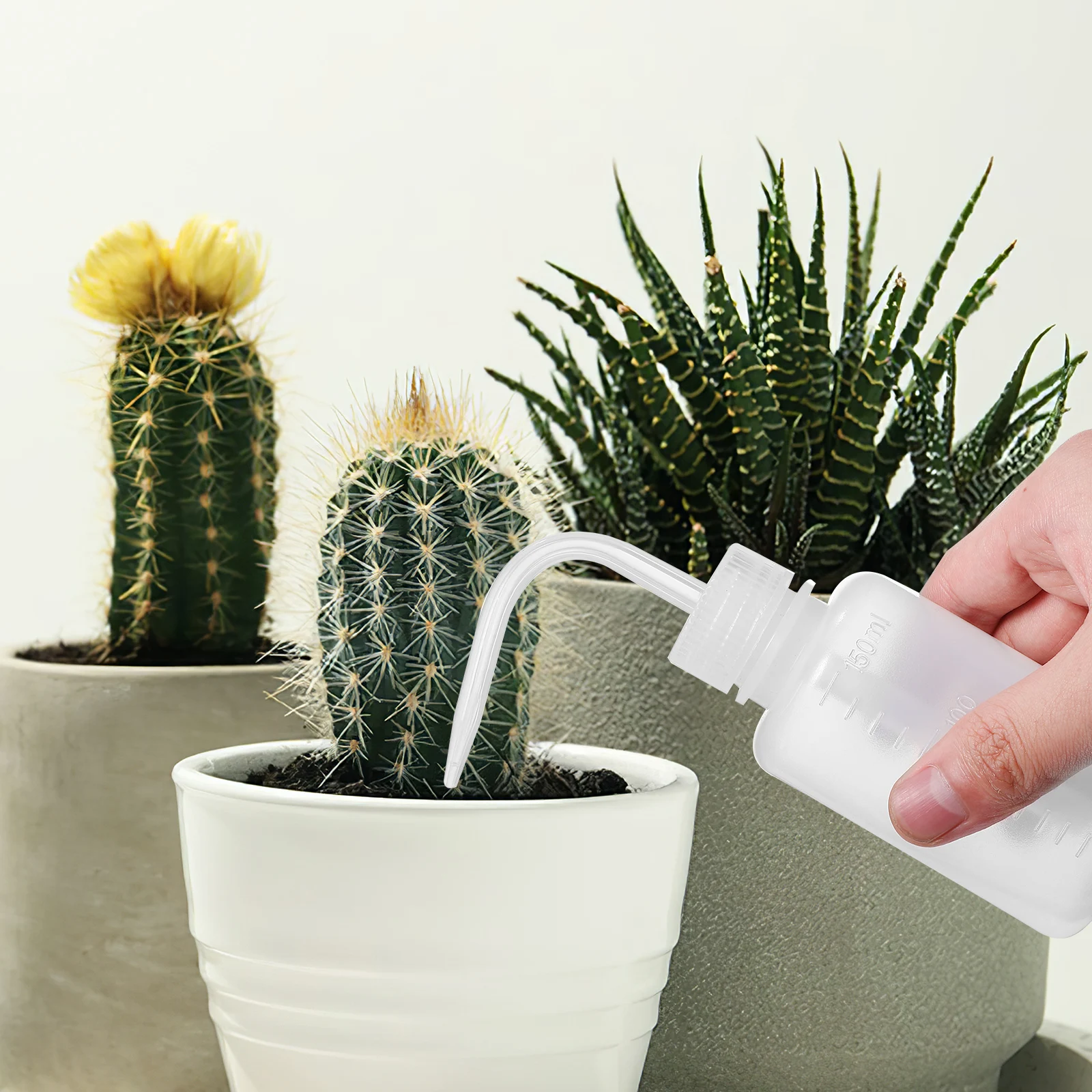 

3Pcs Narrow Tip Wash Bottle Plastic Squeeze Bottles with Stable Seal for Succulents Watering Laboratory Equipment Supplies