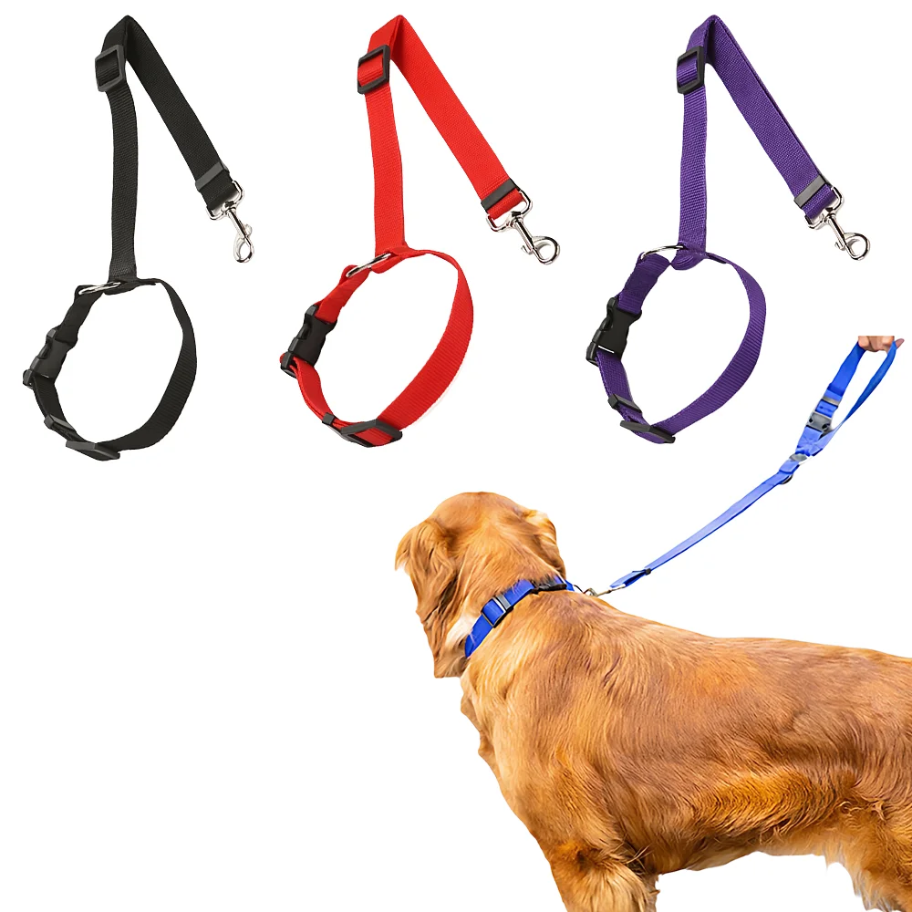 Crash-Tested Pet Seat Belt - Elastic Safety Rope & Cooling Ring for Dogs, Summer Vehicle Anti-Impact System