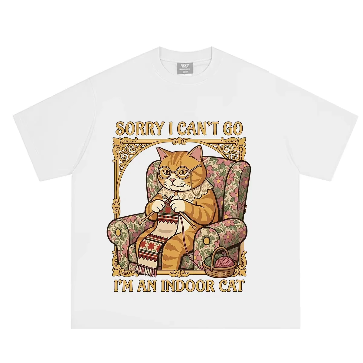 Sorry I Can't Go I'm An Indoor Cat Funny Cat Printed T-Shirt Women Aesthetic Trend T Shirts Summer Casu T-shirts