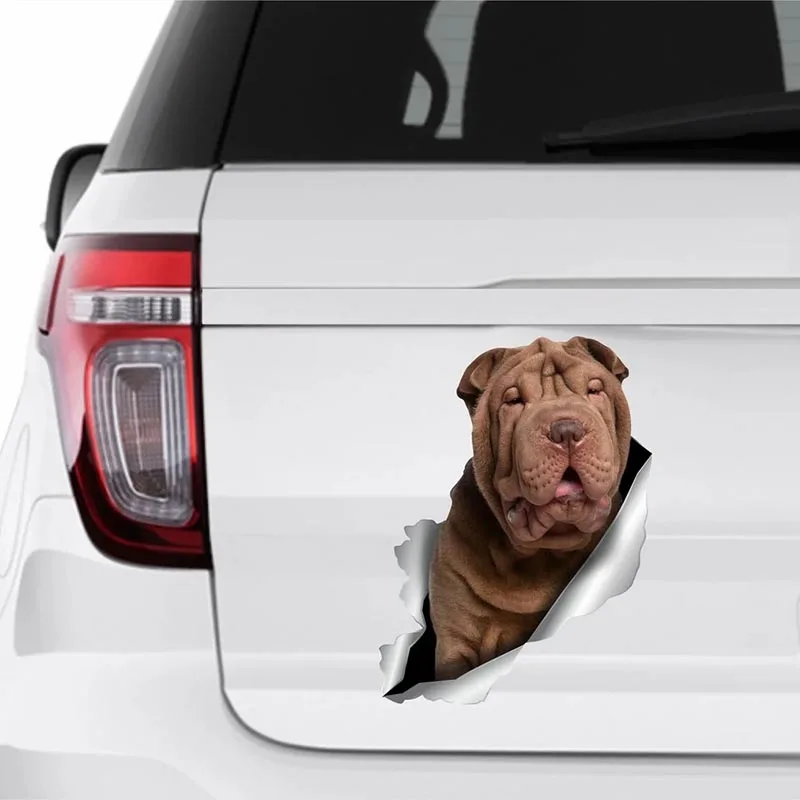 Y492# Car Sticker Shar Pei Dog Pet Animal Waterproof Vinyl Decal Car Accessories Decor Pegatinas Para Coche