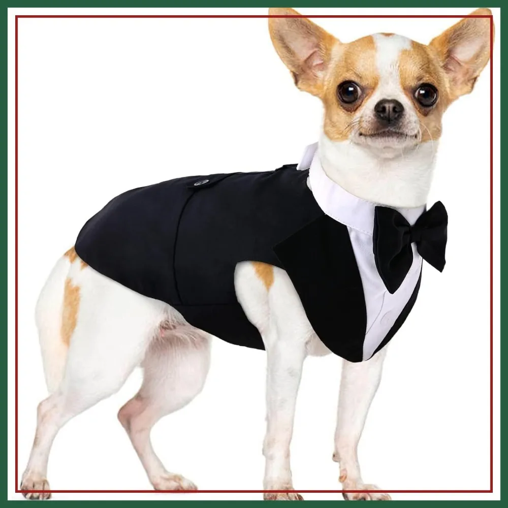 Conjunto de Traje de Esmoquin con Corbata de Moño y Pañuelo para Perros Pequeños, para Chihuahua, Boston Terrier, Corgi, Paquete de 2, Negro
