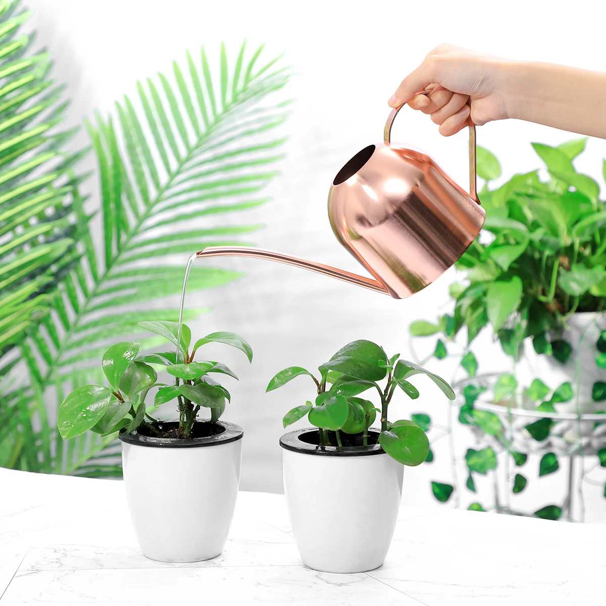

1000ml Stainless Steel Watering Can Indoor Plants Succulents Long Spout Garden Office Watering Pot Indoor Plants Water Can