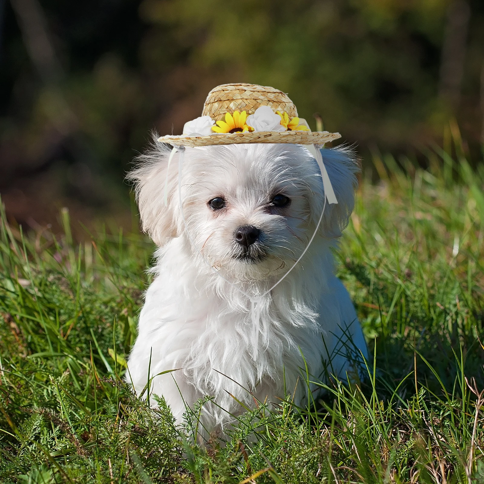 

Summer Small Dog Cat Hats Delicate Bowknot Photo Props Party Favor Puppy Straw Hat Handmade Woven Pet Costume Accessories S Size
