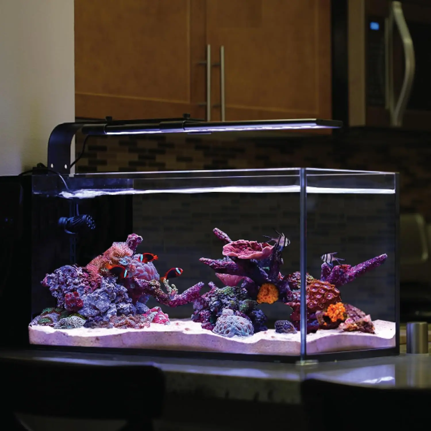 

CURRENT USA 48"-60" Inch Orbit Marine LED Saltwater Reef Marine Aquarium Light with Bluetooth App Control | Wireless Lighting