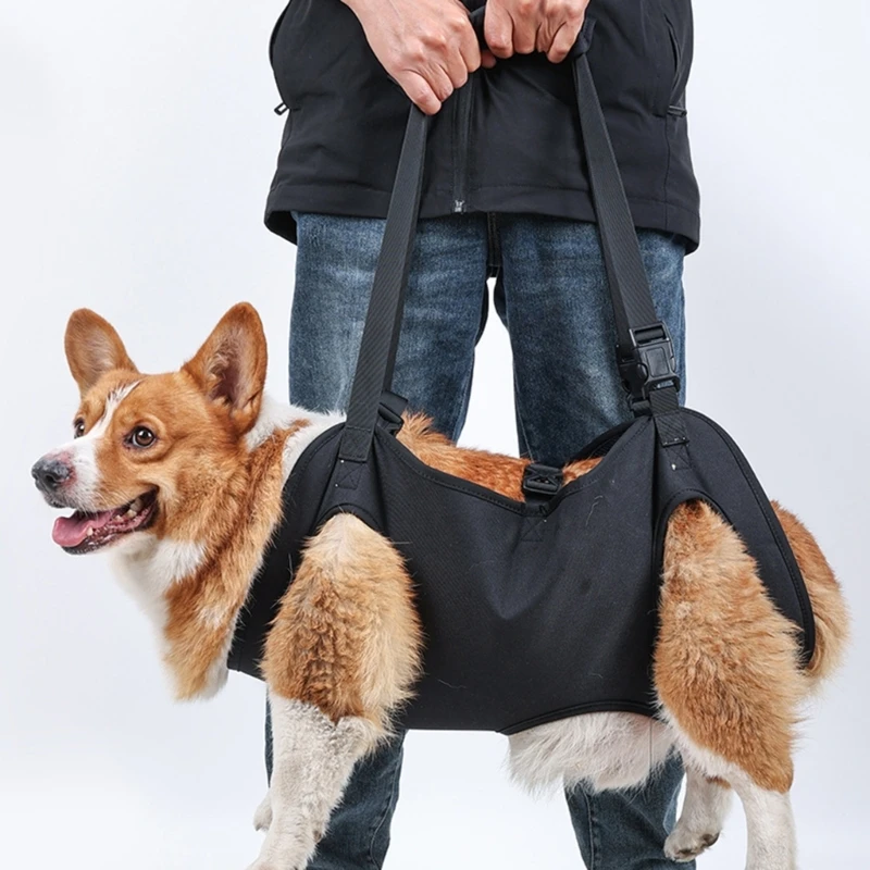 Lift Harness for Injured/ Elderly Disabled Dogs 4