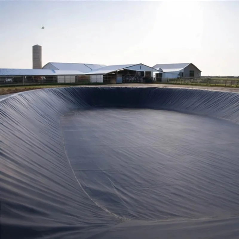 HDPE Anti Seepage Geomembrane Roll Customized for Fish Farm Reservoir Biogas Landfill and Mining Applications Worldwide