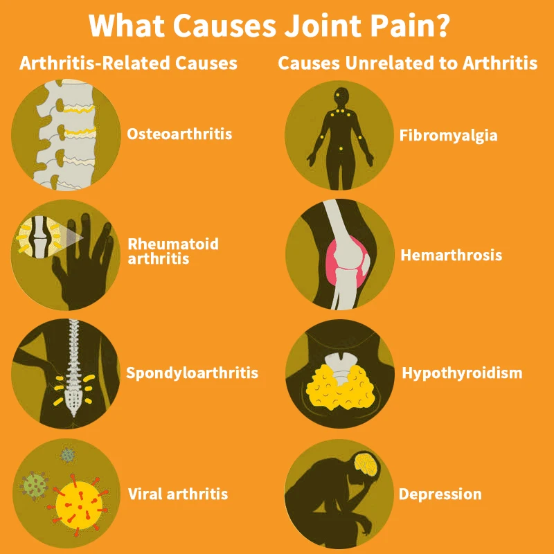 Extrait naturel de venin d'abeille, soulage la douleur de l'arthrite, antioxydant, soutient la santé des articulations, favorise le supplément alimentaire musculaire