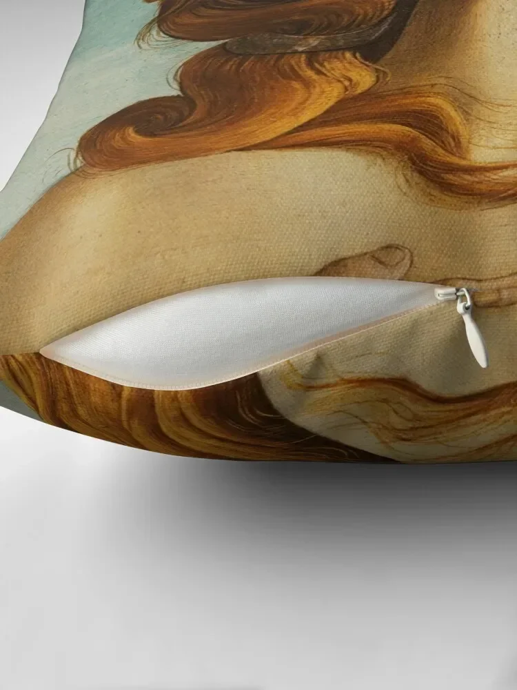 Sad, big-eyed Venus, Parody of Botticelli's The Birth of Venus, La nascita di Venere Throw Pillow Pillow Case pillow