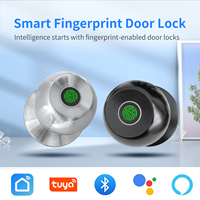 Tuya Electronic Lock Fingerprint Recognition Key Smart Life APP Unlock Office Apartment Smart External Door Lock