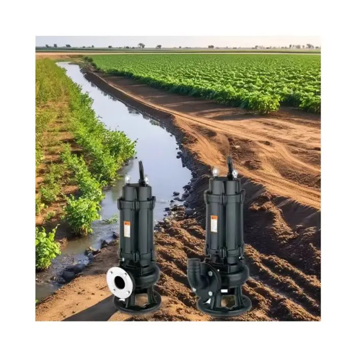 

Набор для сельскохозяйственного орошения, высококачественный портативный погружной водяной насос Wq для сточных вод